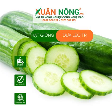 dưa leo tr 18+